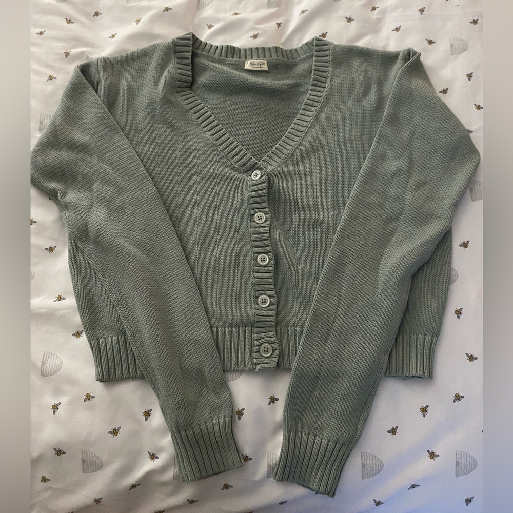 Brandy Melville Billie Sage Green Cardigan